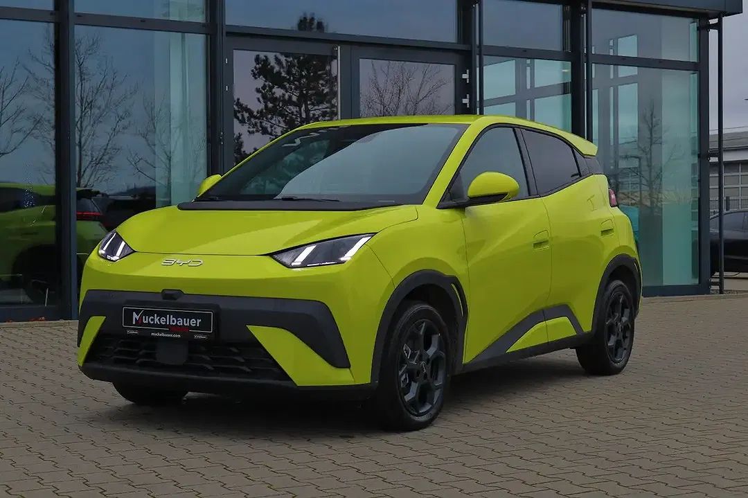 BYD Dolphin - Thumbnail 2