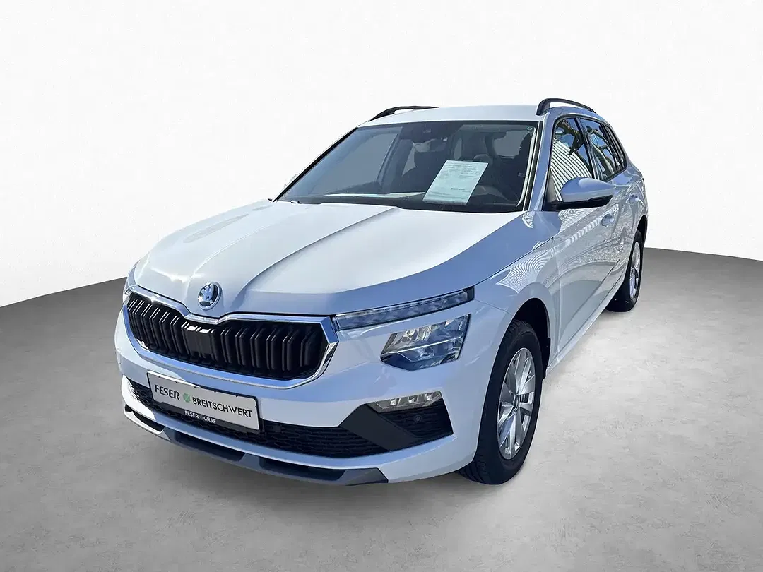 Skoda Kamiq - Thumbnail 11