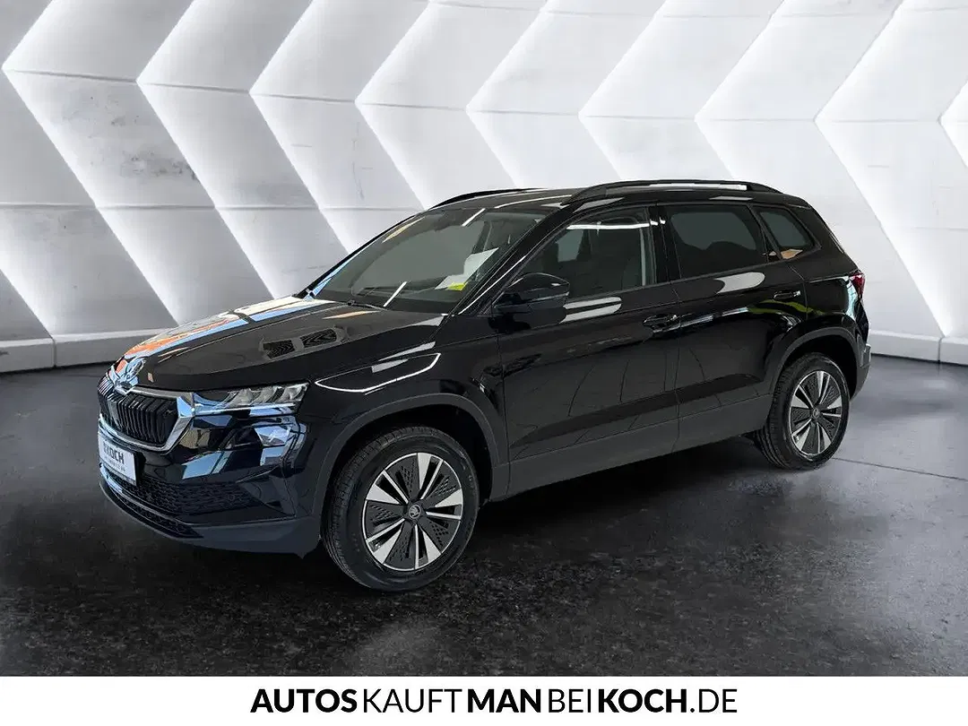 Skoda Karoq - Thumbnail 1
