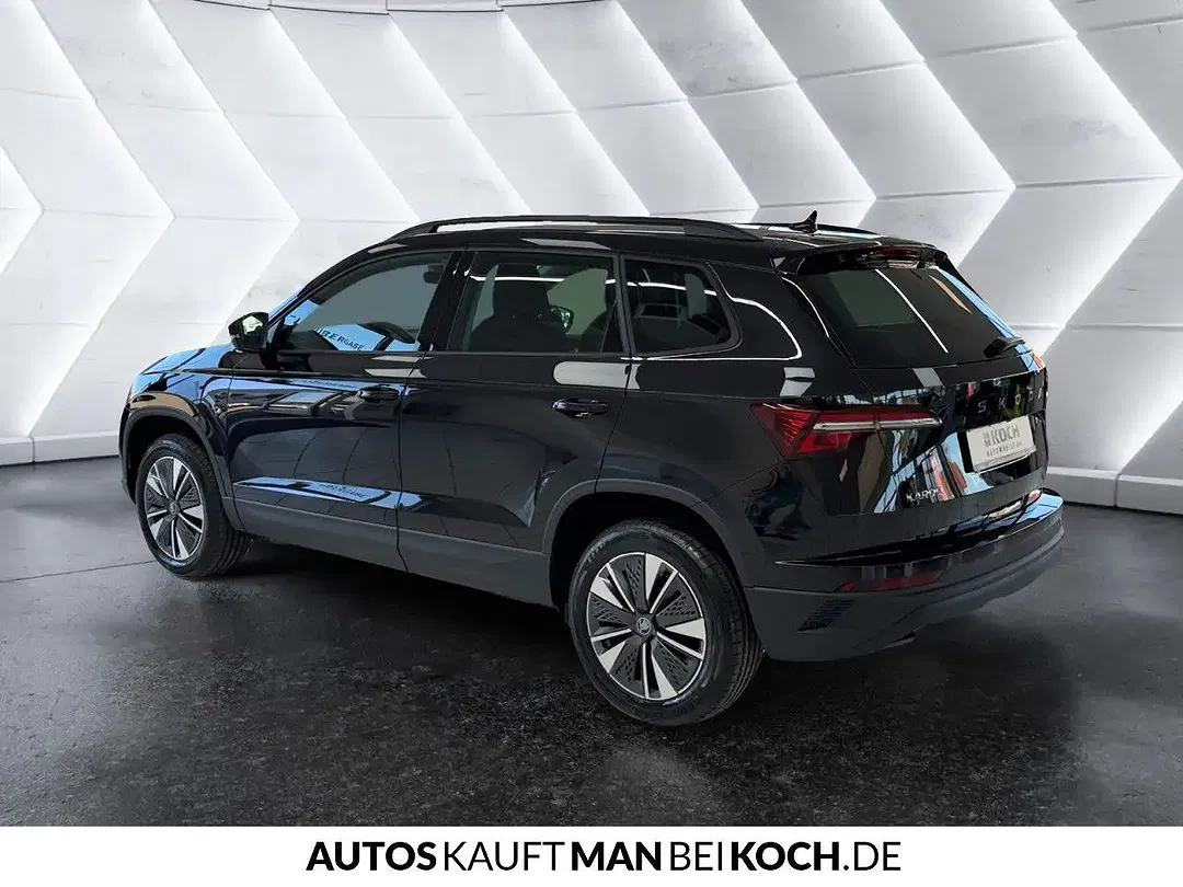 Skoda Karoq - Thumbnail 2