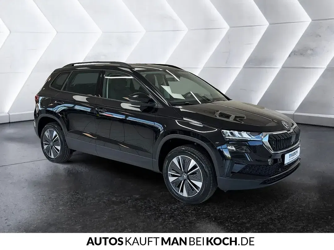 Skoda Karoq - Thumbnail 4