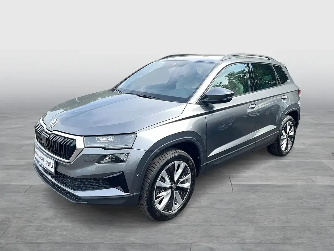 Skoda Karoq - Thumbnail 1