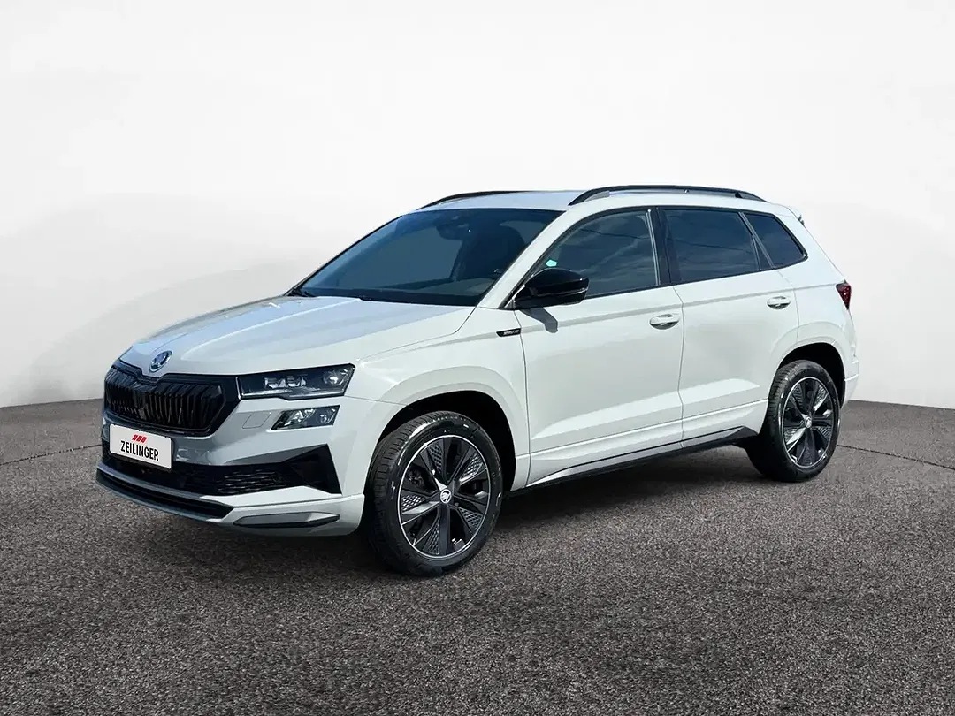 Skoda Karoq - Thumbnail 1