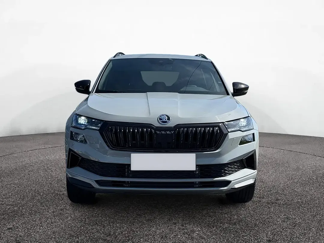 Skoda Karoq - Thumbnail 2