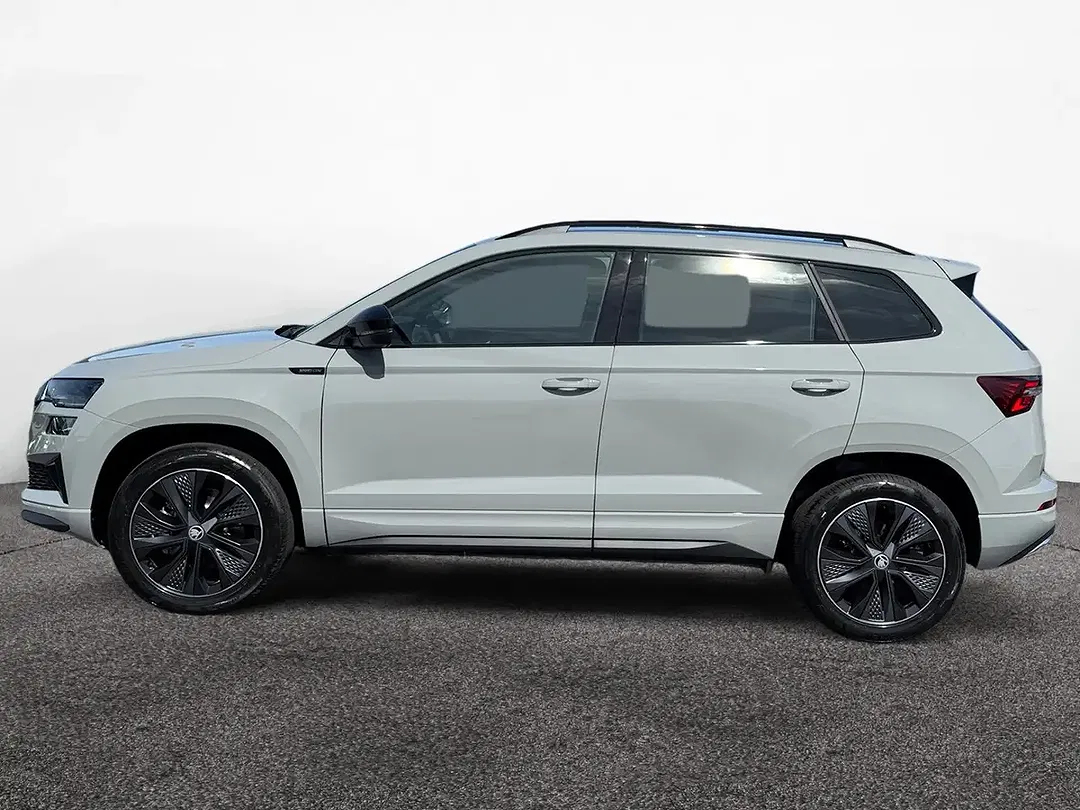 Skoda Karoq - Thumbnail 3