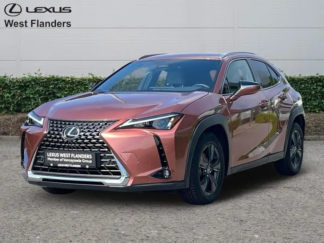 Lexus UX 300h Business Line