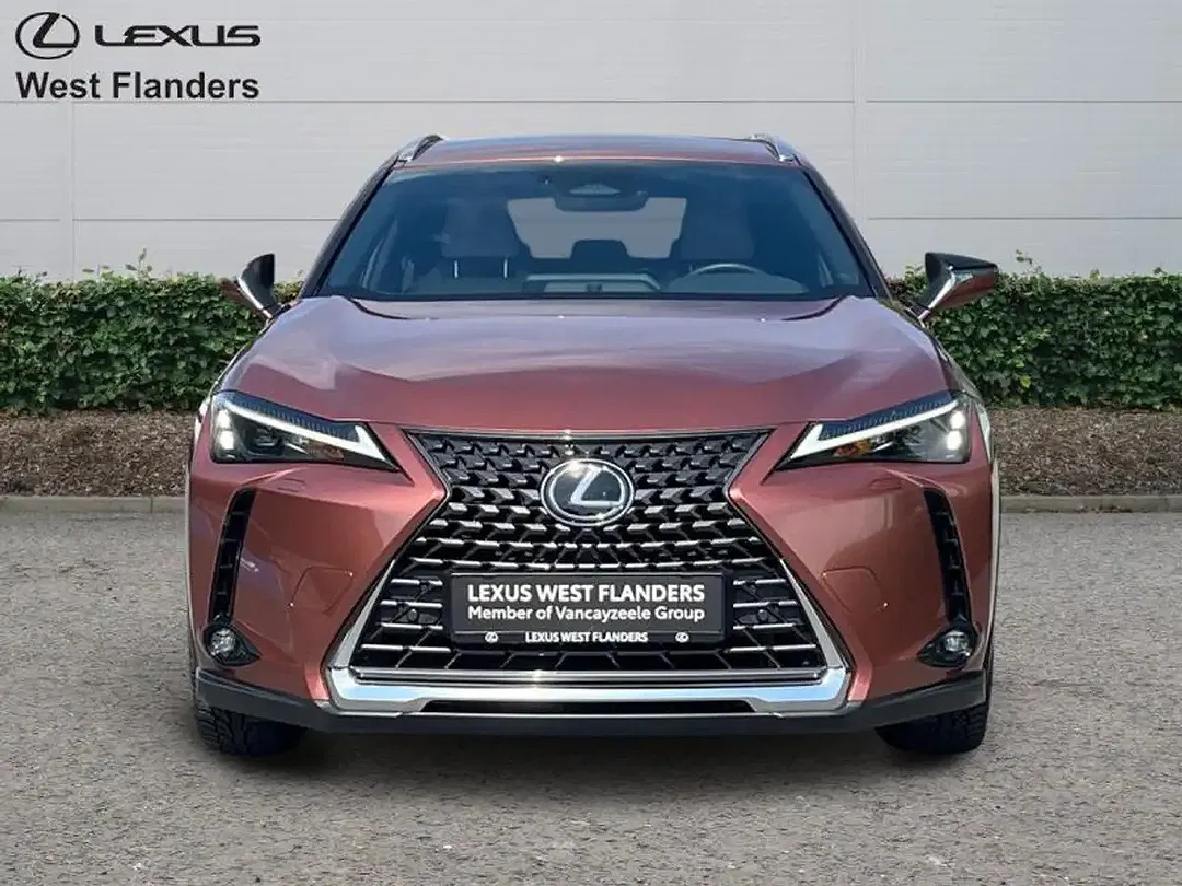 Lexus UX 300h - Thumbnail 2