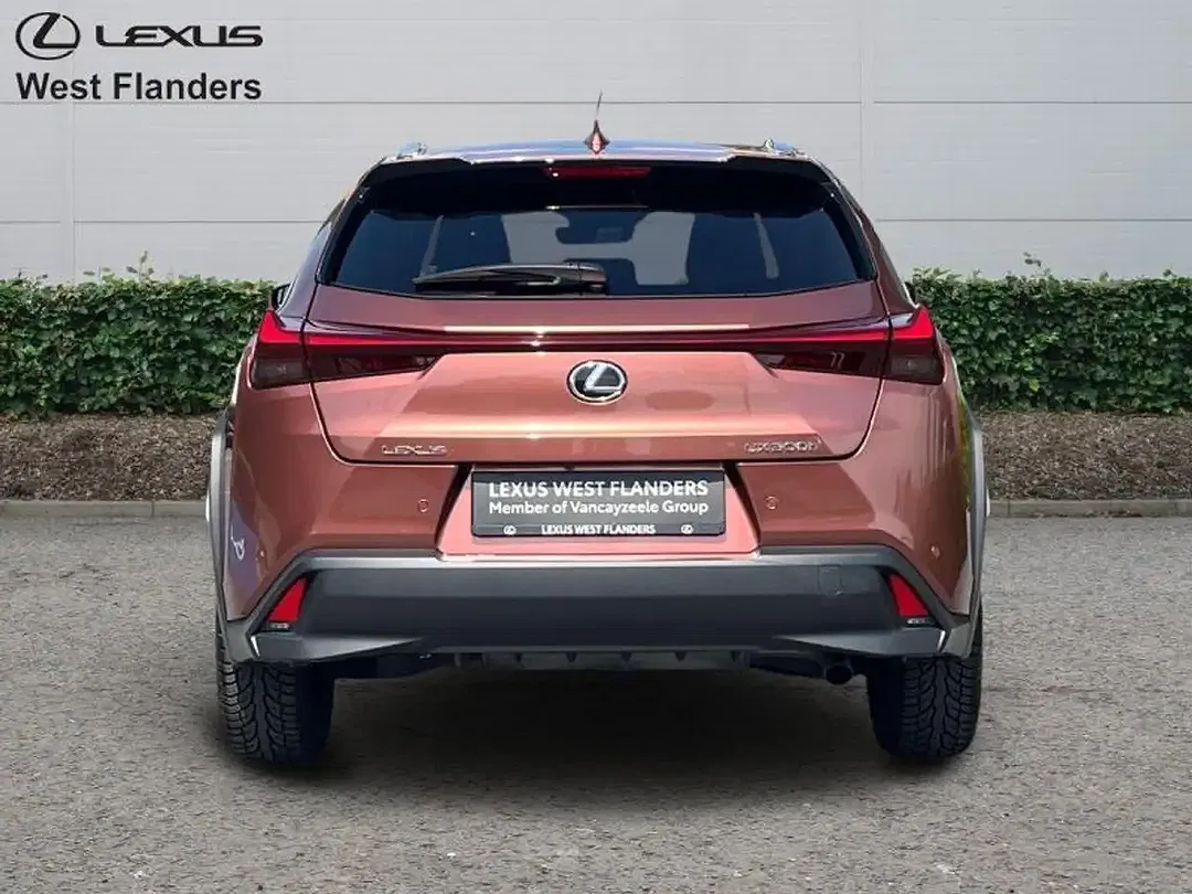 Lexus UX 300h - Thumbnail 6