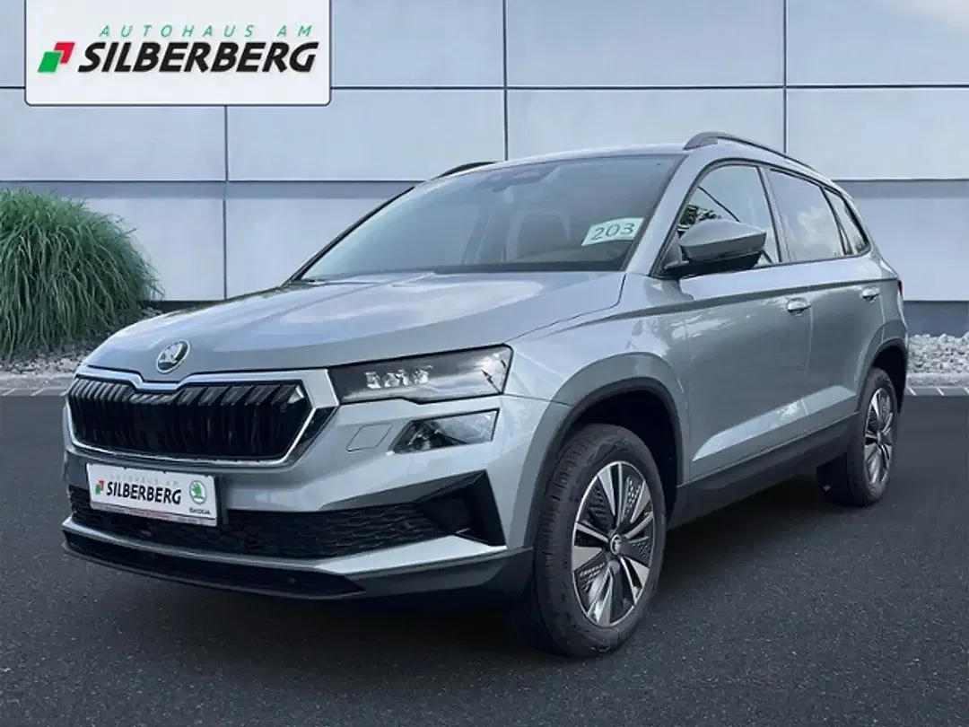 Skoda Karoq - Thumbnail 1