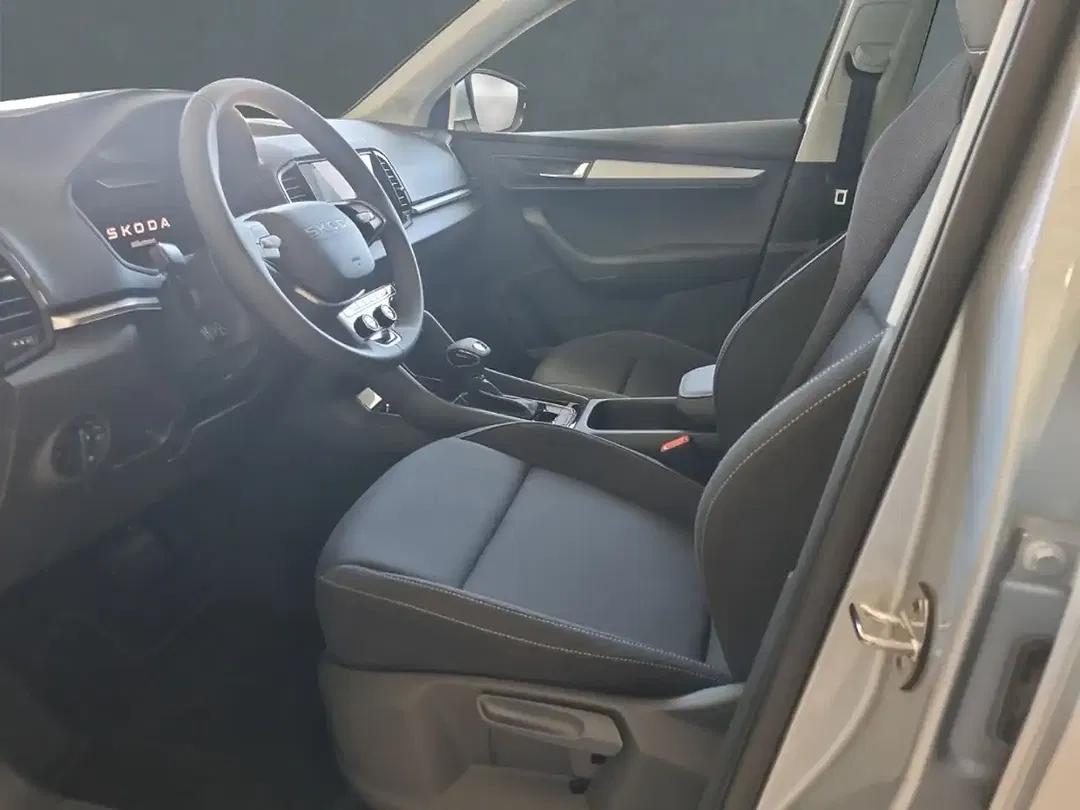 Skoda Karoq - Thumbnail 8