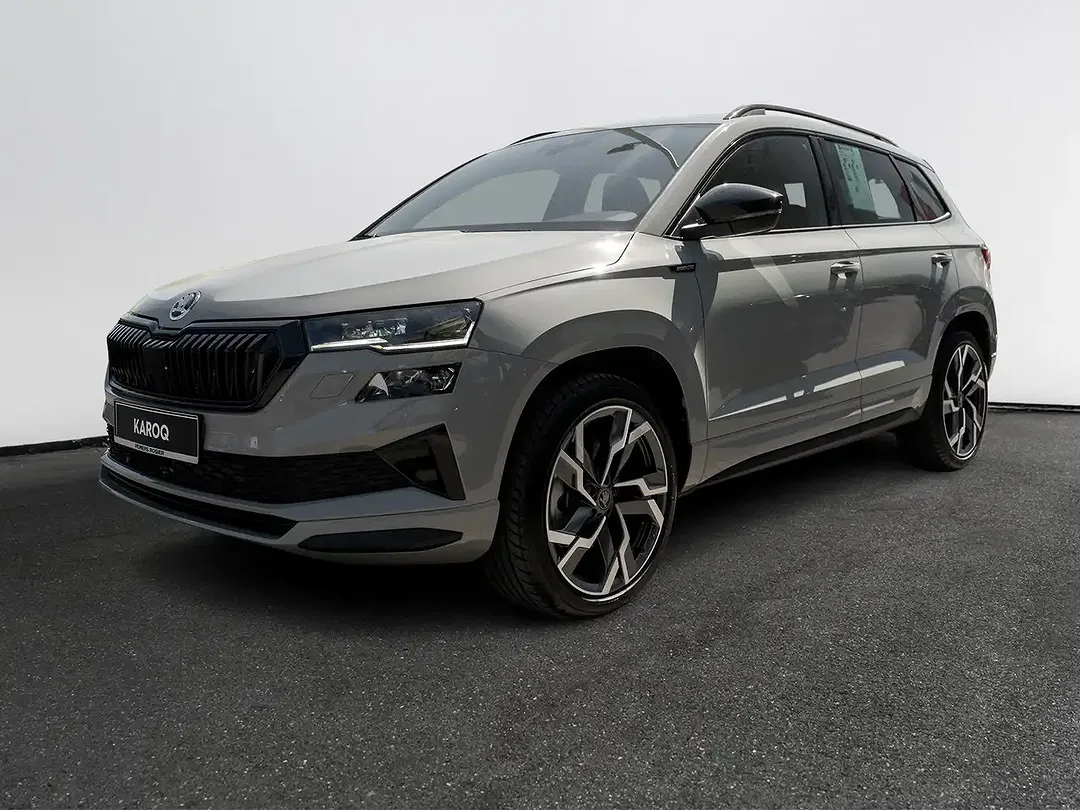 Skoda Karoq - Thumbnail 1