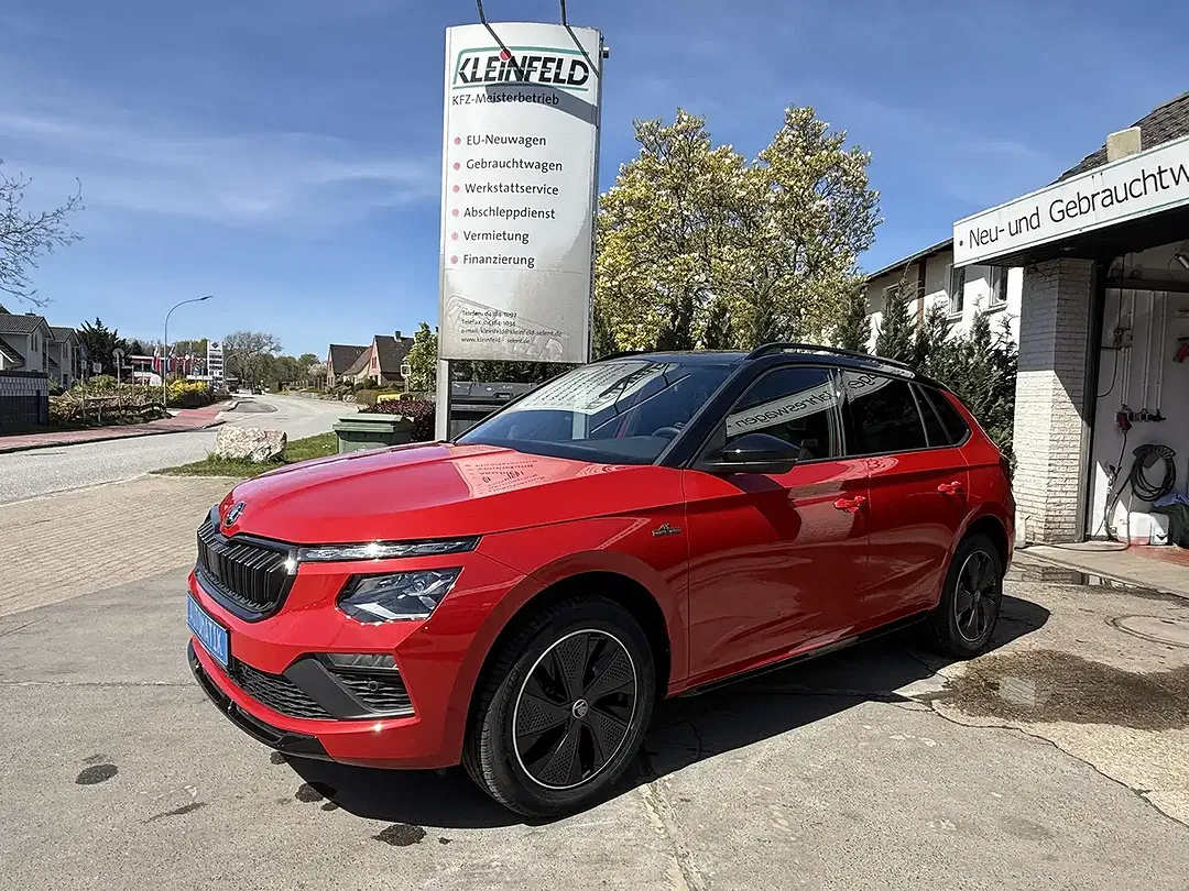 Skoda Kamiq - Thumbnail 6