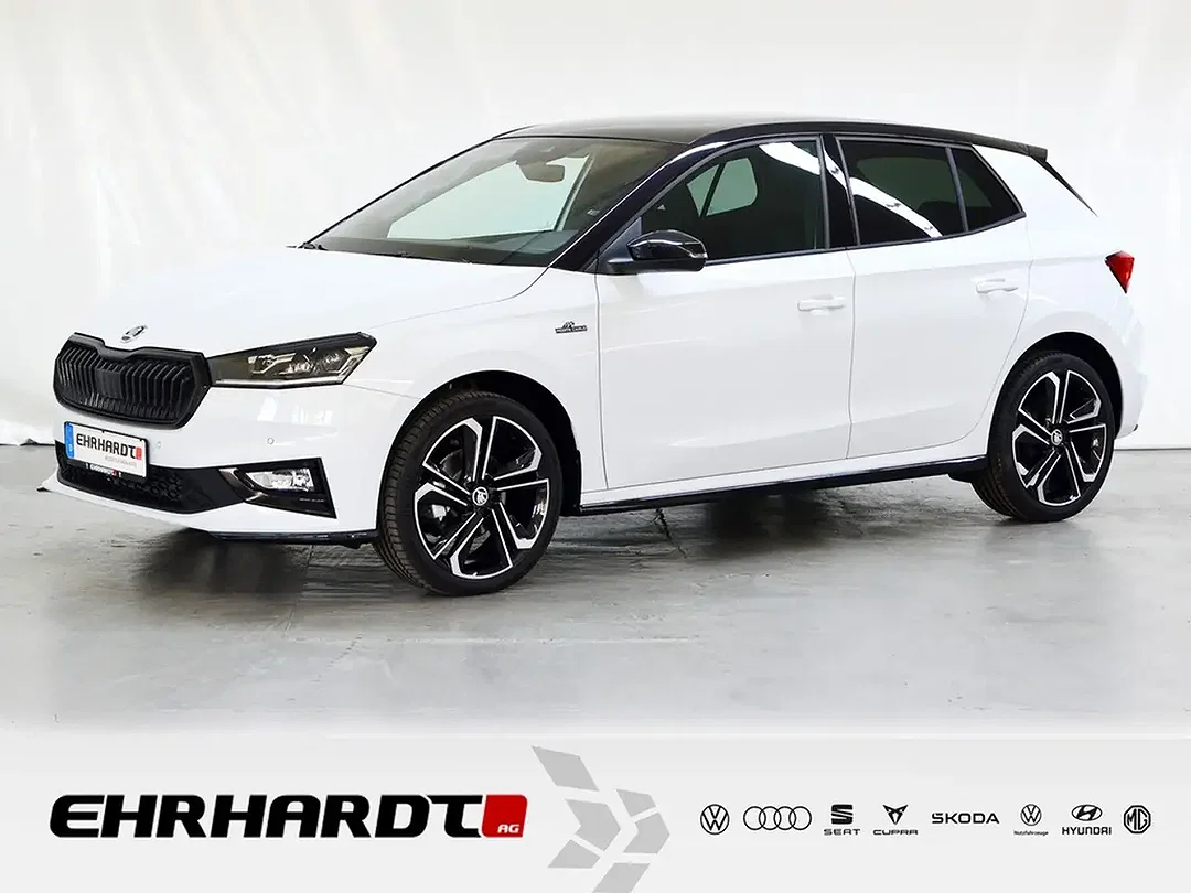 Skoda Fabia - Afbeelding 1