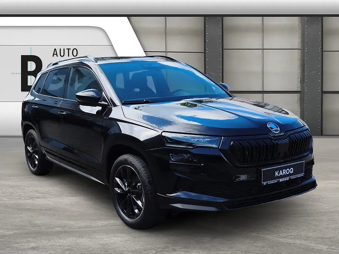 Skoda Karoq - Thumbnail 7