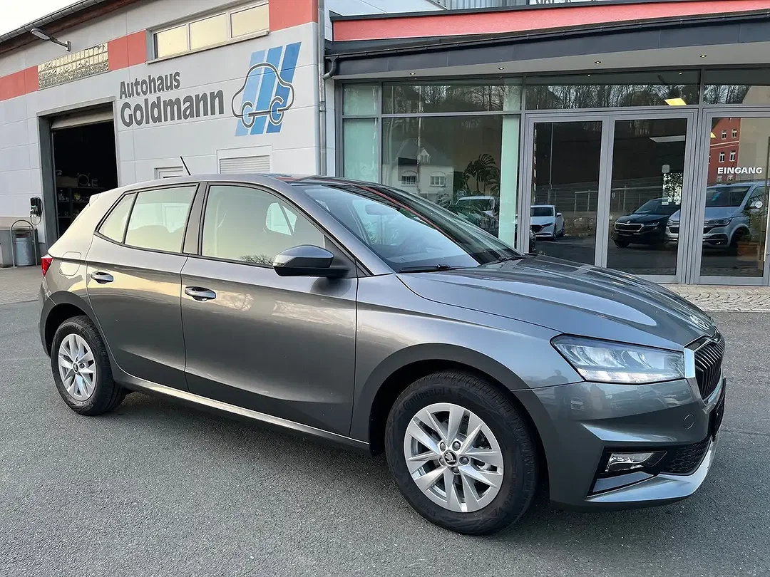 Skoda Fabia - Afbeelding 1