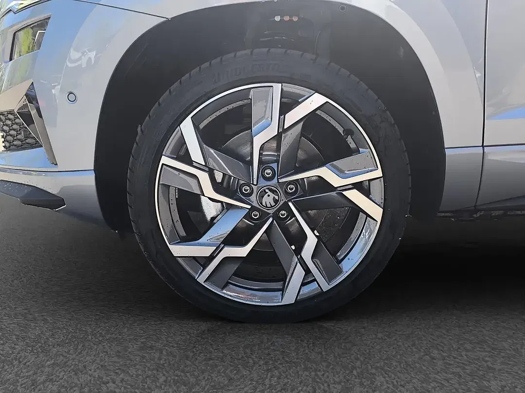 Skoda Karoq - Thumbnail 12