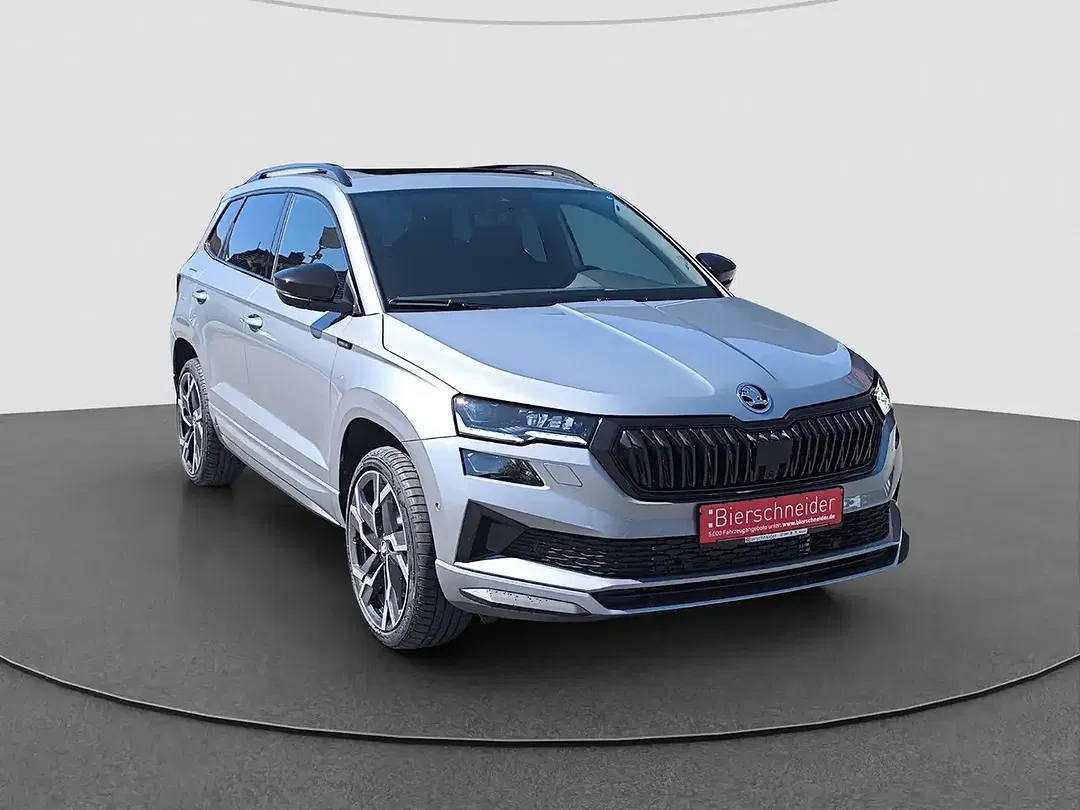 Skoda Karoq - Thumbnail 6