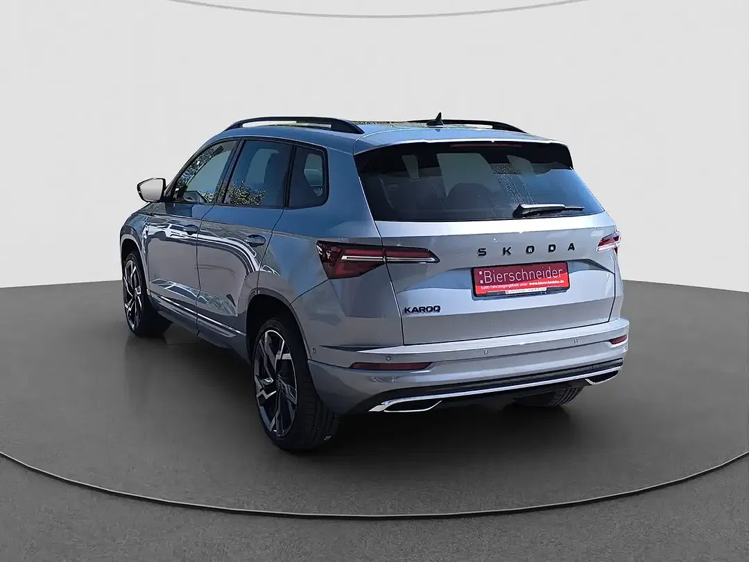 Skoda Karoq - Thumbnail 8