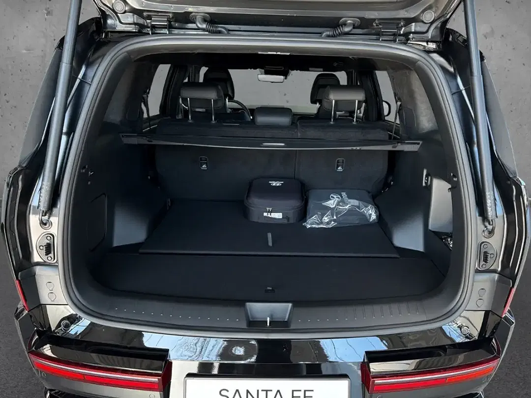 Hyundai SANTA FE - Thumbnail 10