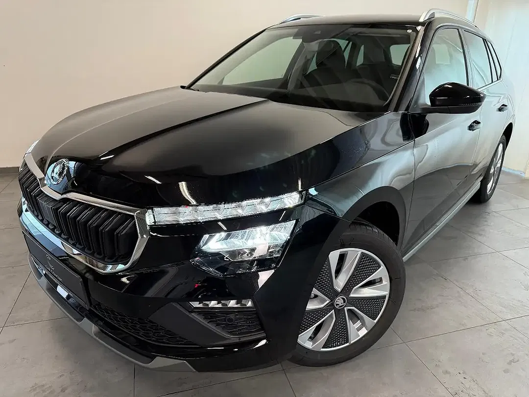 Skoda Kamiq - Thumbnail 1