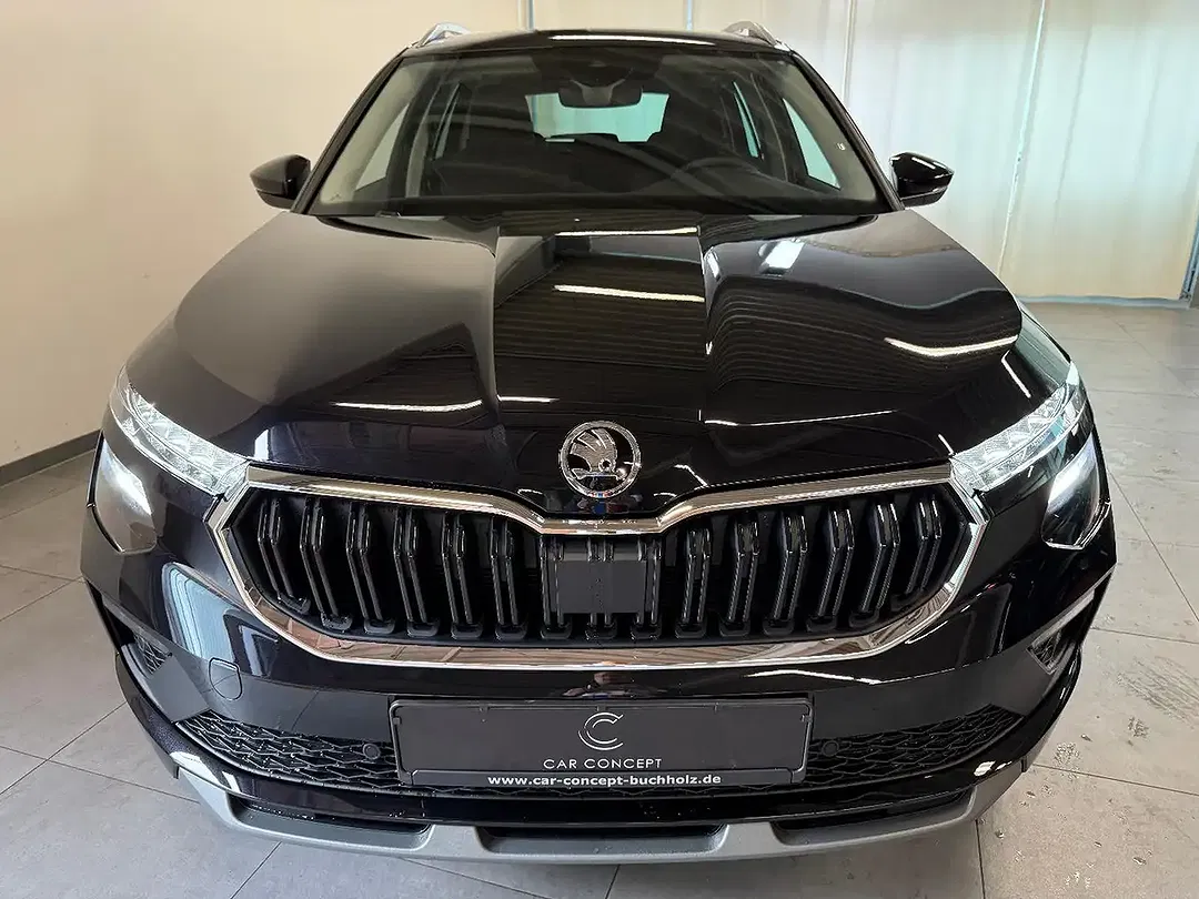 Skoda Kamiq - Thumbnail 2