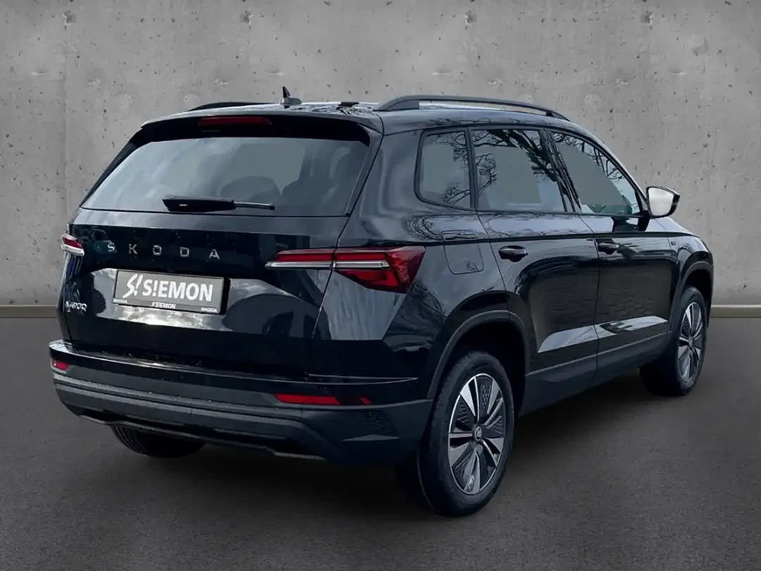 Skoda Karoq - Thumbnail 10