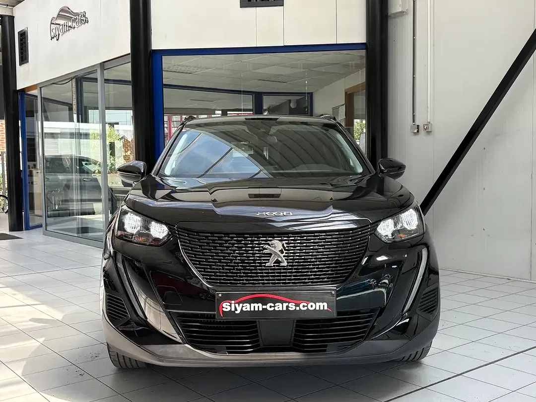 Peugeot 2008 - Thumbnail 8
