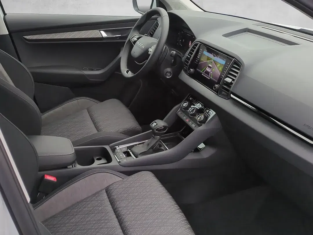 Skoda Karoq - Thumbnail 12