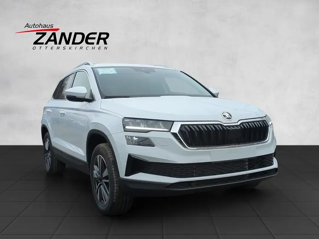 Skoda Karoq - Thumbnail 5