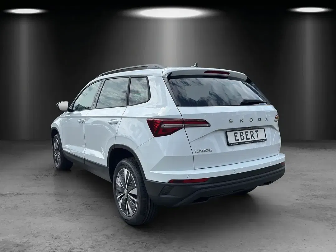 Skoda Karoq - Thumbnail 3