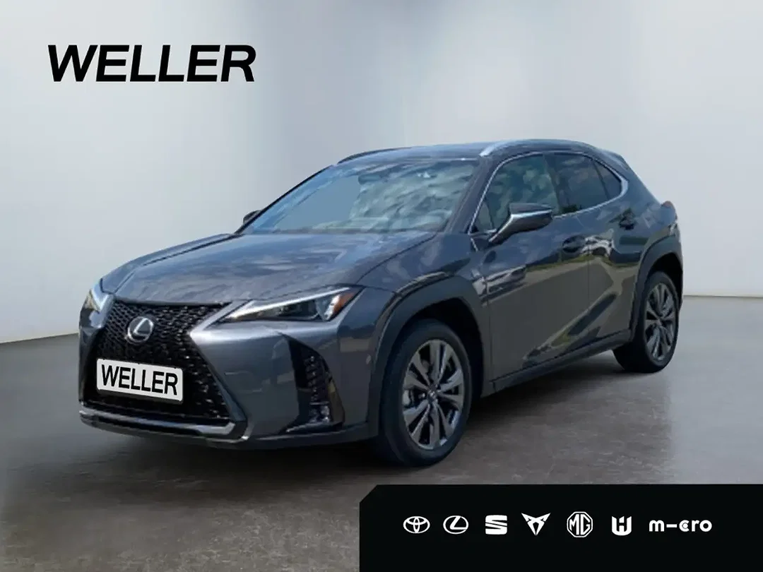Lexus UX 300h - Afbeelding 1