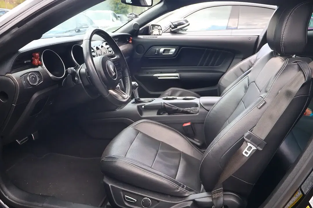 Ford Mustang - Thumbnail 13