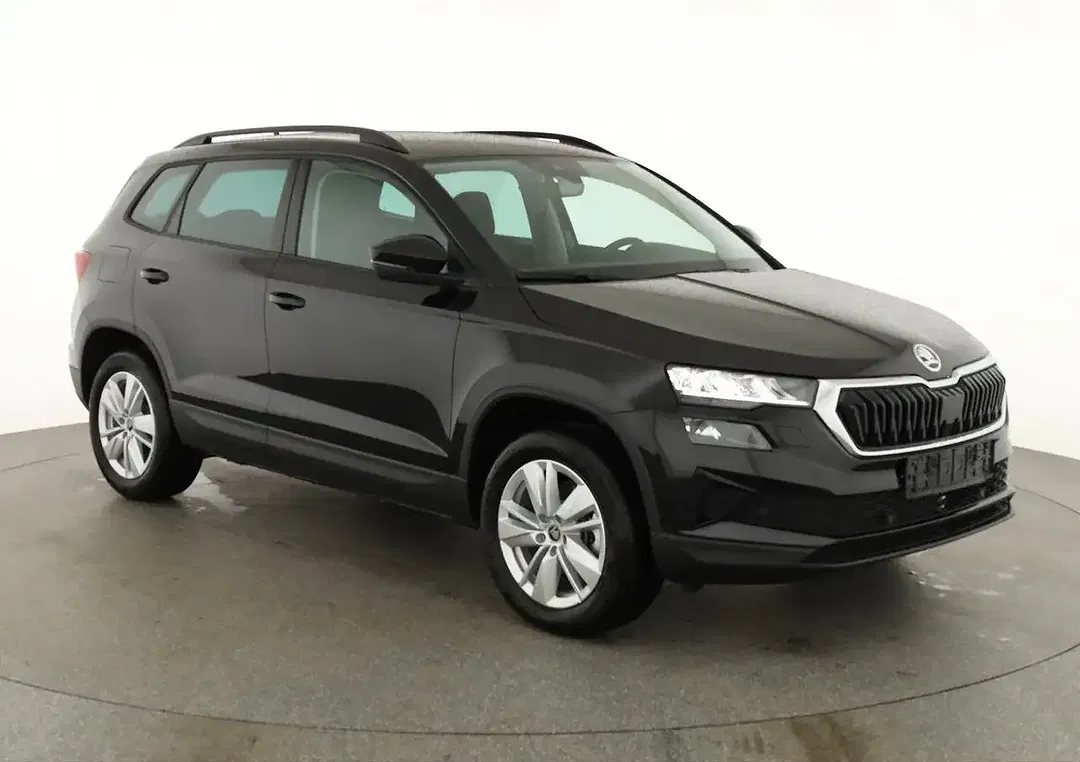 Skoda Karoq - Thumbnail 1