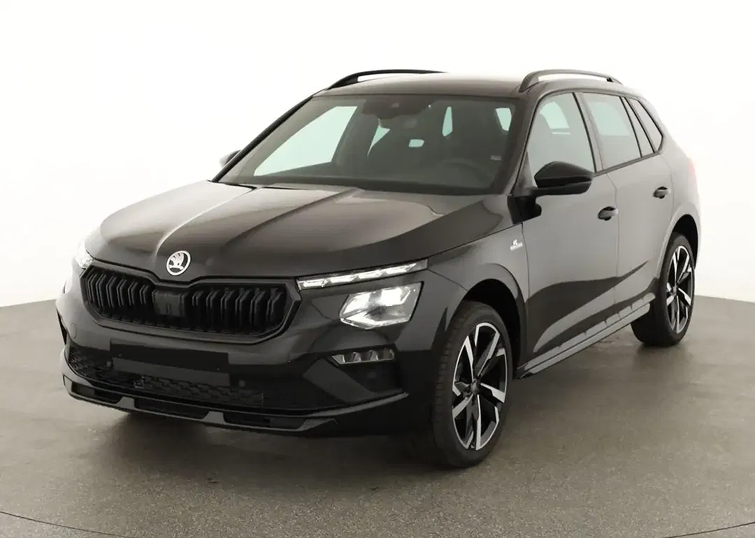 Skoda Kamiq - Thumbnail 1