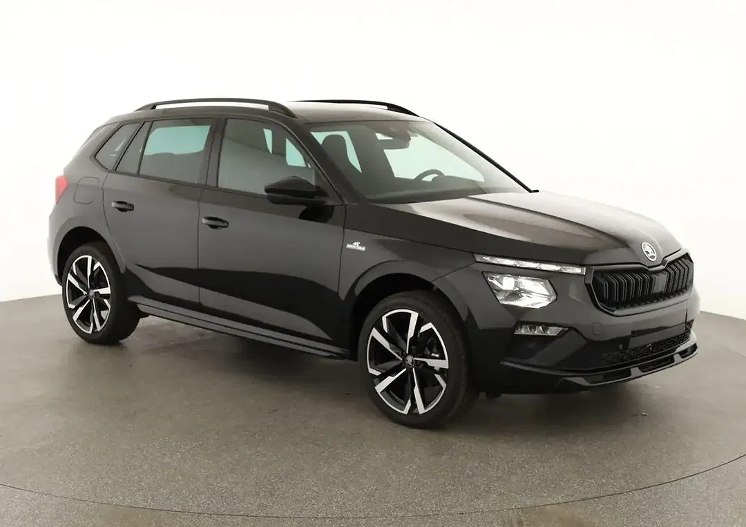 Skoda Kamiq - Thumbnail 2