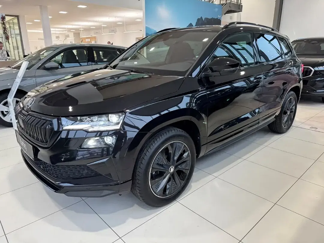 Skoda Karoq - Thumbnail 3