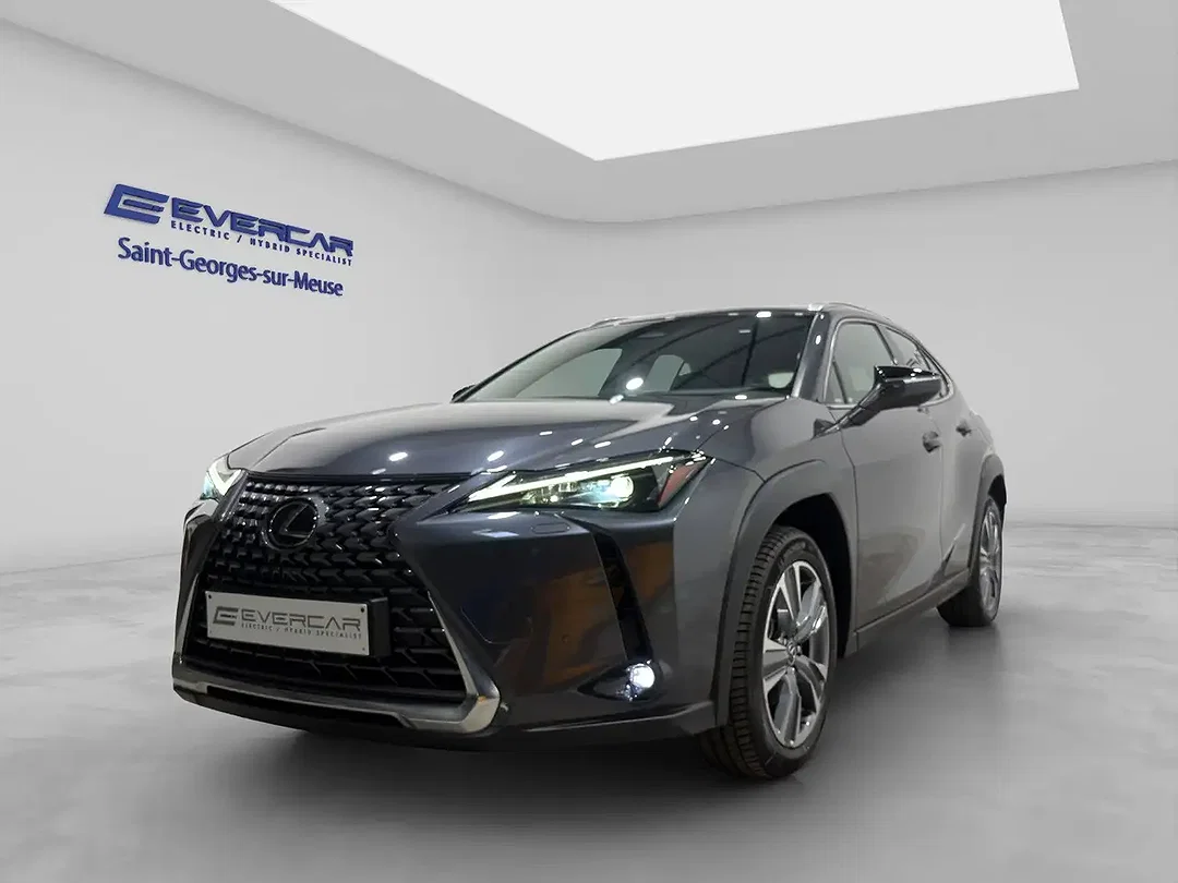 Lexus UX 300e - Afbeelding 1