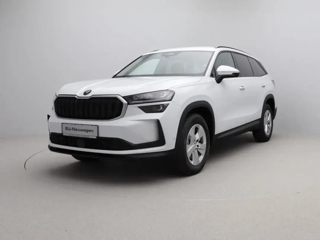 Skoda Kodiaq - Thumbnail 1