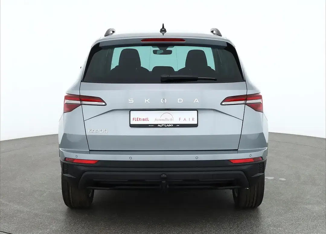 Skoda Karoq - Thumbnail 3