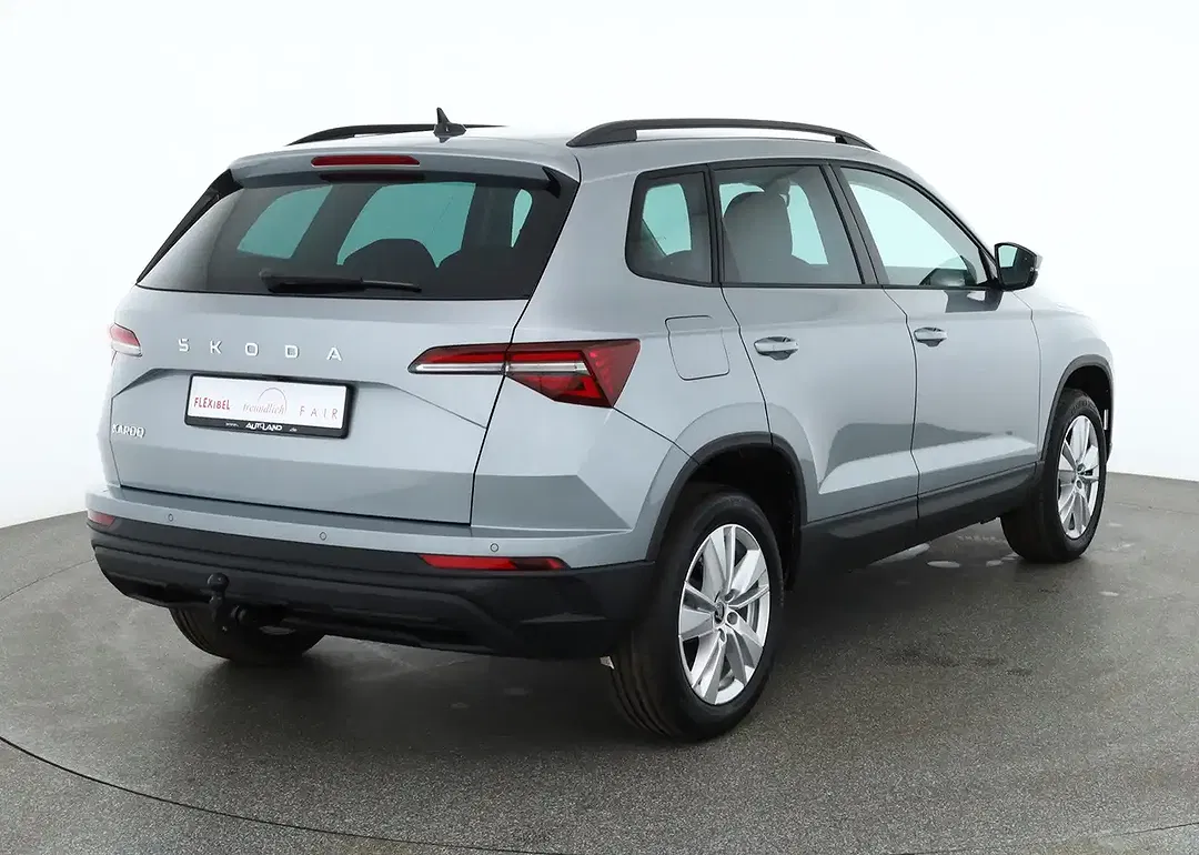 Skoda Karoq - Thumbnail 4