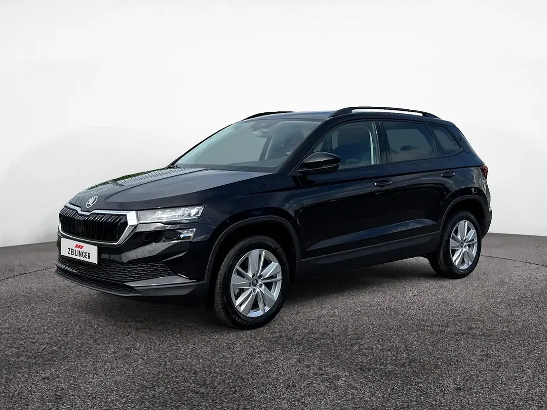 Skoda Karoq - Thumbnail 1