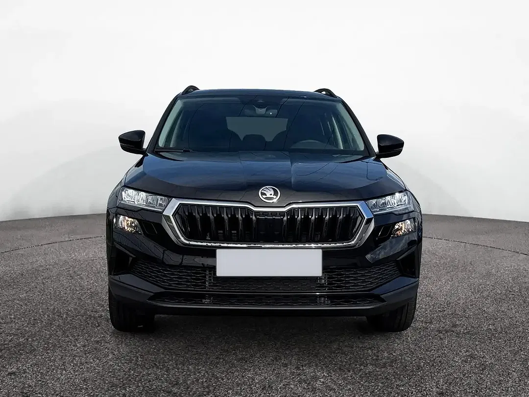Skoda Karoq - Thumbnail 2