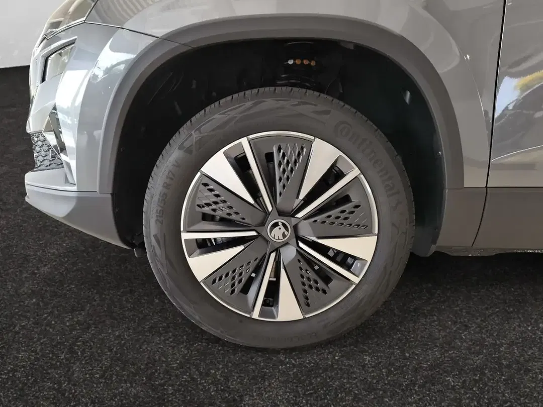 Skoda Karoq - Thumbnail 14