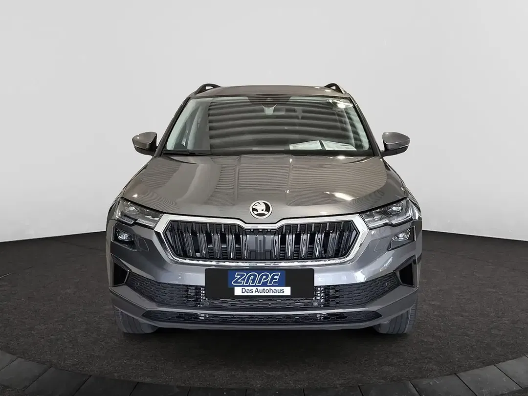 Skoda Karoq - Thumbnail 8