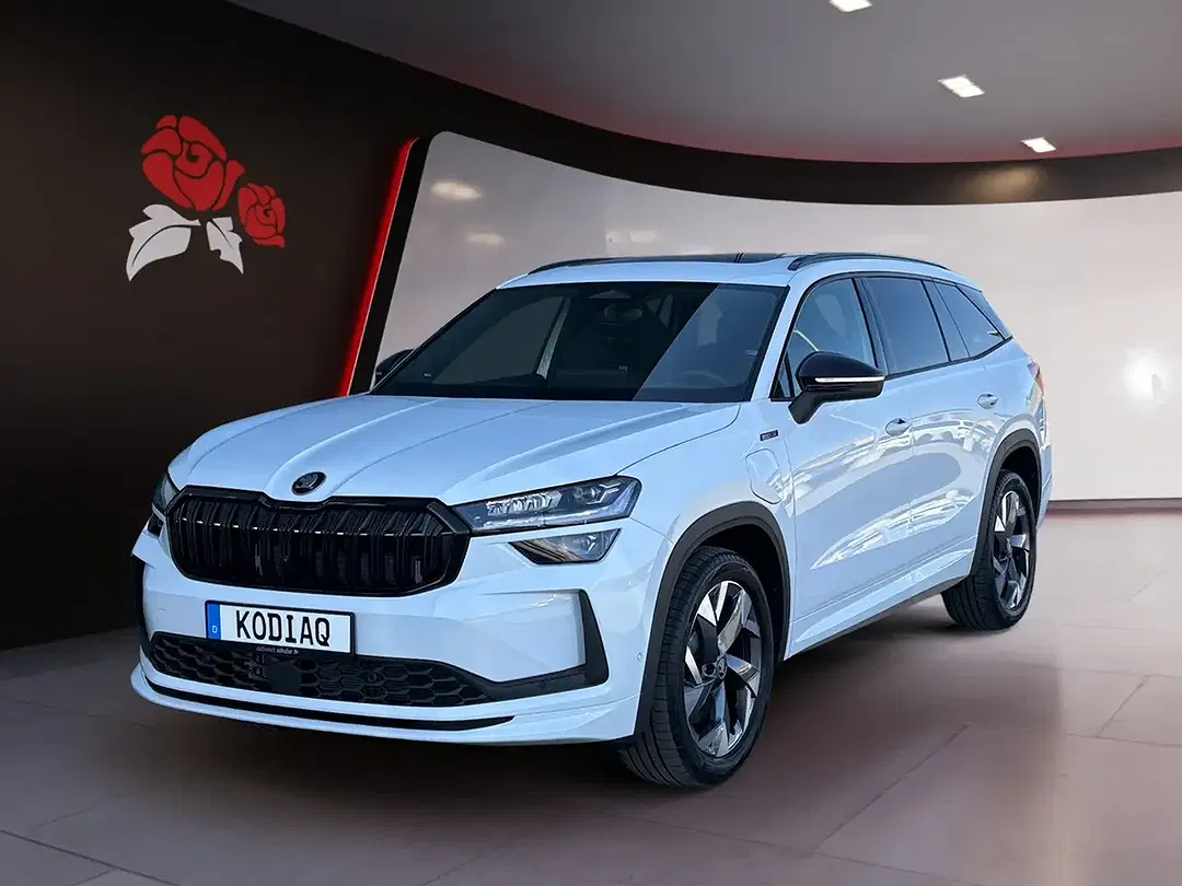 Skoda Kodiaq - Thumbnail 1