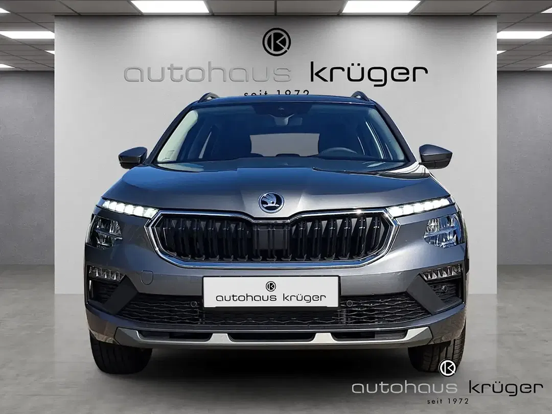 Skoda Kamiq - Thumbnail 3