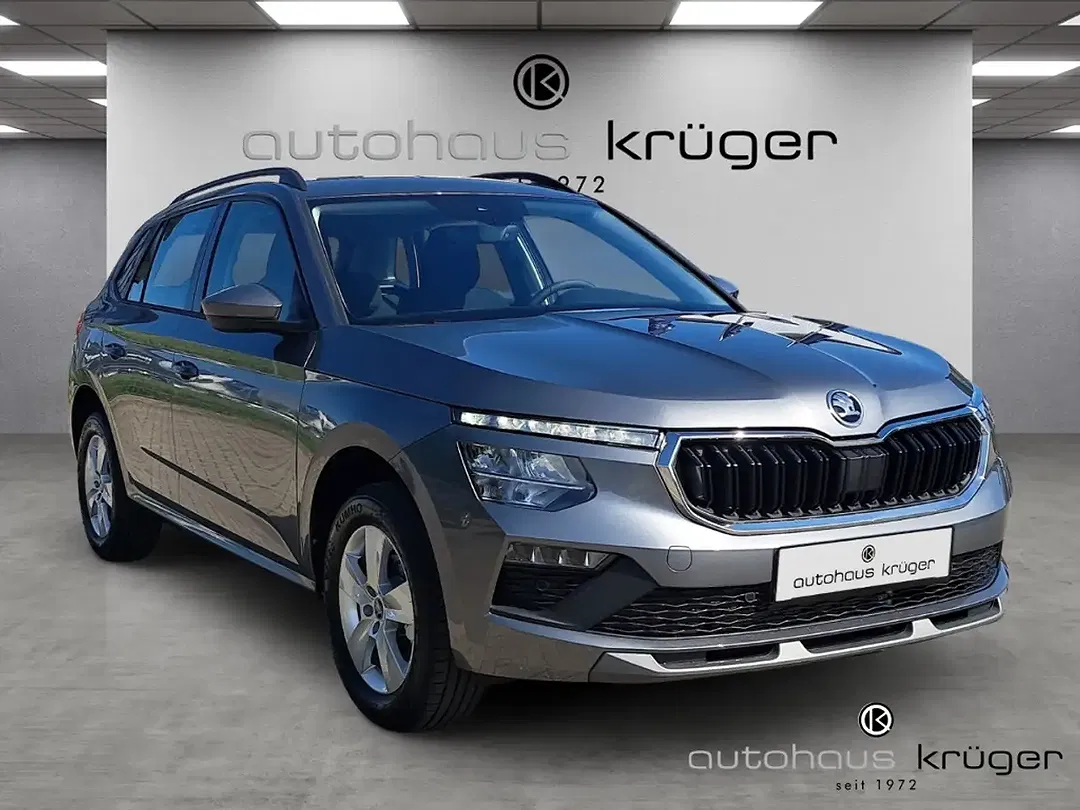 Skoda Kamiq - Thumbnail 8