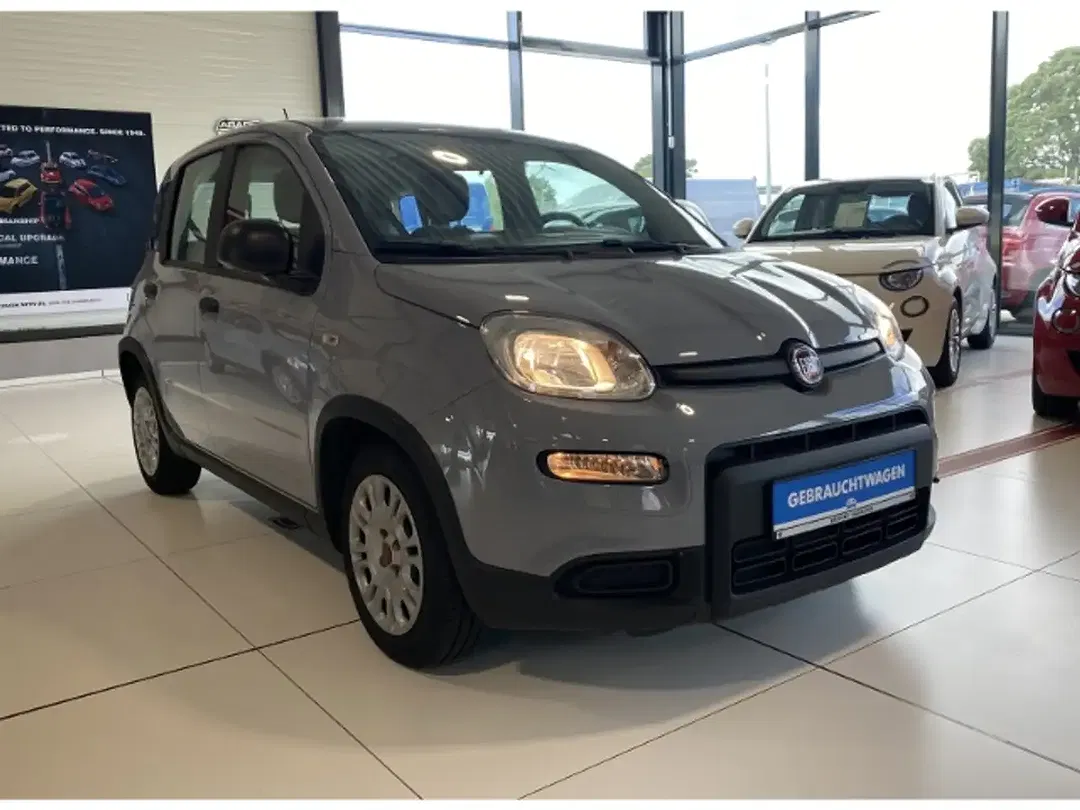 Fiat Panda - Thumbnail 3