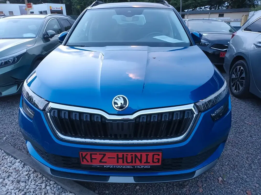 Skoda Kamiq - Thumbnail 13