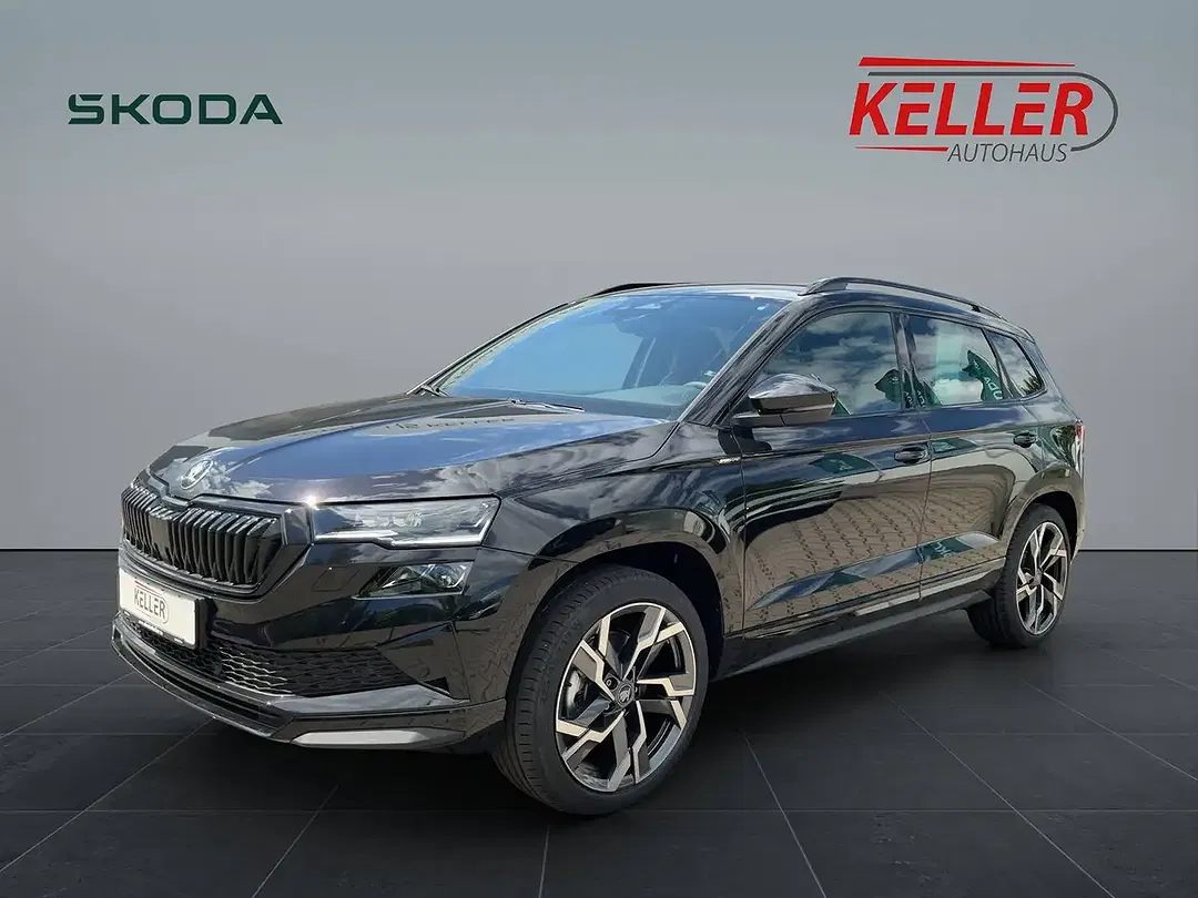 Skoda Karoq - Thumbnail 1